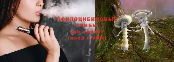 сатива Зеленодольск