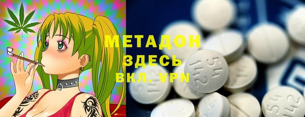 сатива Инта