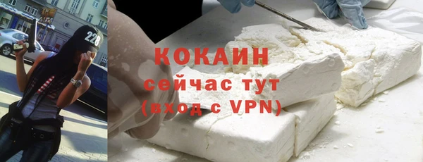 сатива Инта