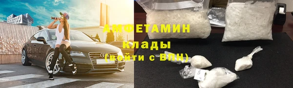 сатива Инта