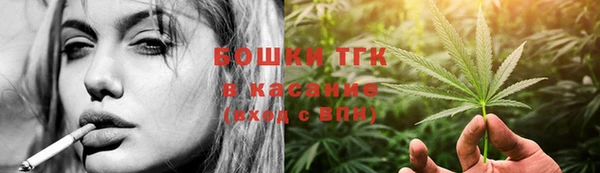 сатива Инта