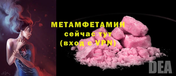 сатива Инта