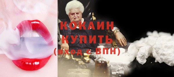 сатива Инта
