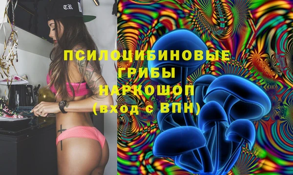героин Инсар