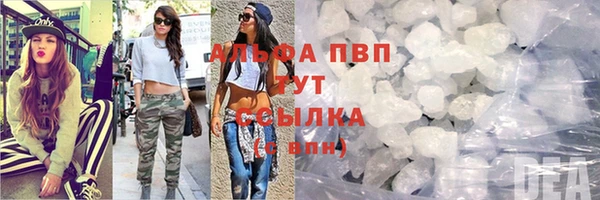сатива Инта