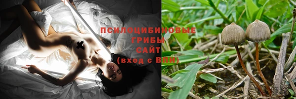 сатива Зеленодольск