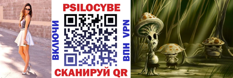 Купить закладки Куртамыш Галлюциногенные грибы Psilocybine cubensis
